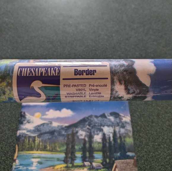 Wallpaper border - Picture 3 of 4